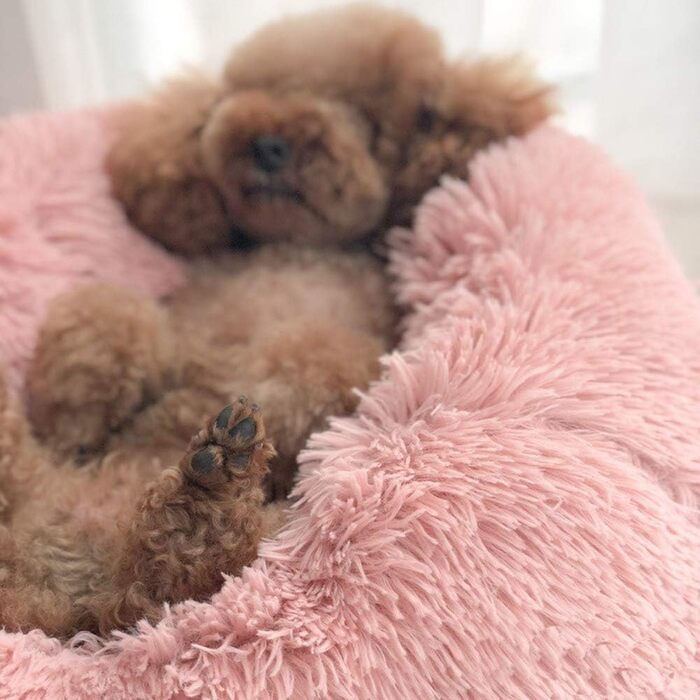 Ліжко для собак Chic Sofa, корзина для собак/кішок, матрац для собак, велике собаче ліжко, миється, м'яке ліжко для середніх/великих собак (L 80x80 см, Рожевий)