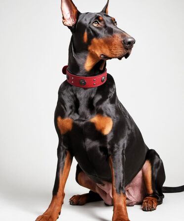 Стильний шкіряний нашийник для собак, ручної роботи, 5 см, червоний, розмір 38-49 см