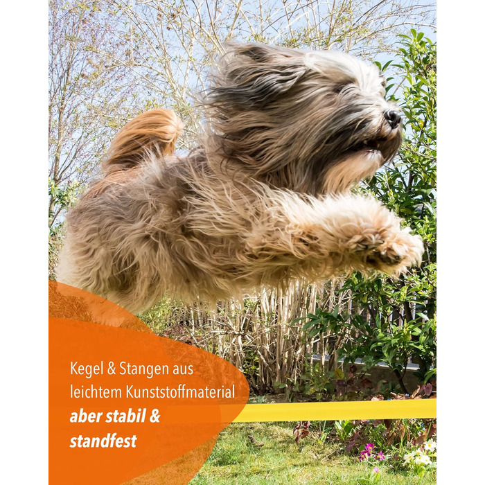 Кегель-бар'єри Sportikel24 для аджиліті – набір бар'єрів для собак, коней та дітей – 50 см