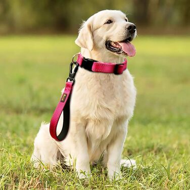 PLUTUS PET короткий повідок для великих собак 25,4 см, рожевий, з міцним карабіном і м'якою ручкою