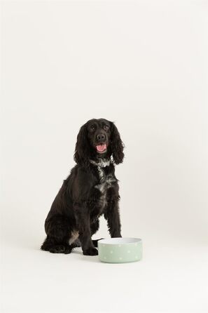 Миска для собак Mason Cash, з точками, 18 см, салатовий колір