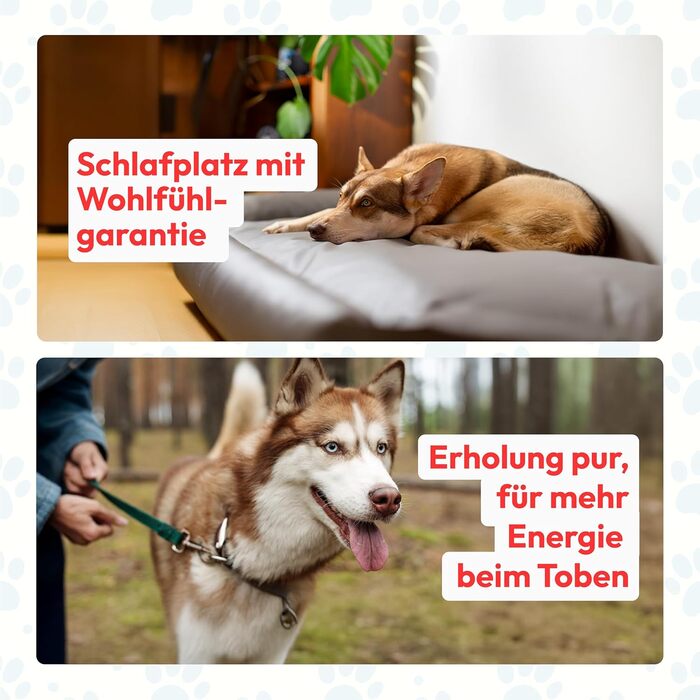 Ортопедична подушка-ліжко для собак M, 100 x 75 см, чорна, з штучної шкіри