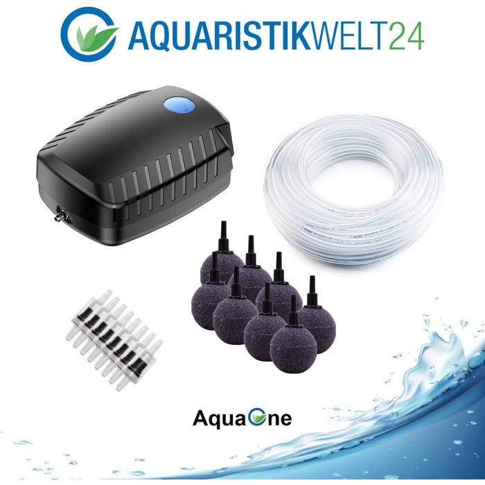 AquaOne повітряний насос CAP-60, 30 Вт, набір для ставка 30 м³, енергоощадний аератор з шлангом та розпилювачем