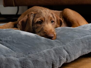 TrendPet Maya Ortho - Ортопедичне ліжко для собак (80x60 см)