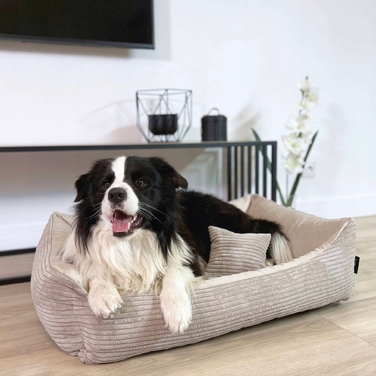 Вельветове лежак для собак MOLLY, 60x40 см, Бежевий