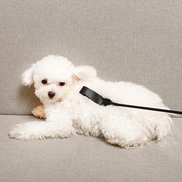 Крійська батогом FIYSON для верхової їзди, стрибків та перегонів, з PU-шкіри та справжньої шкіри, для щоденних тренувань