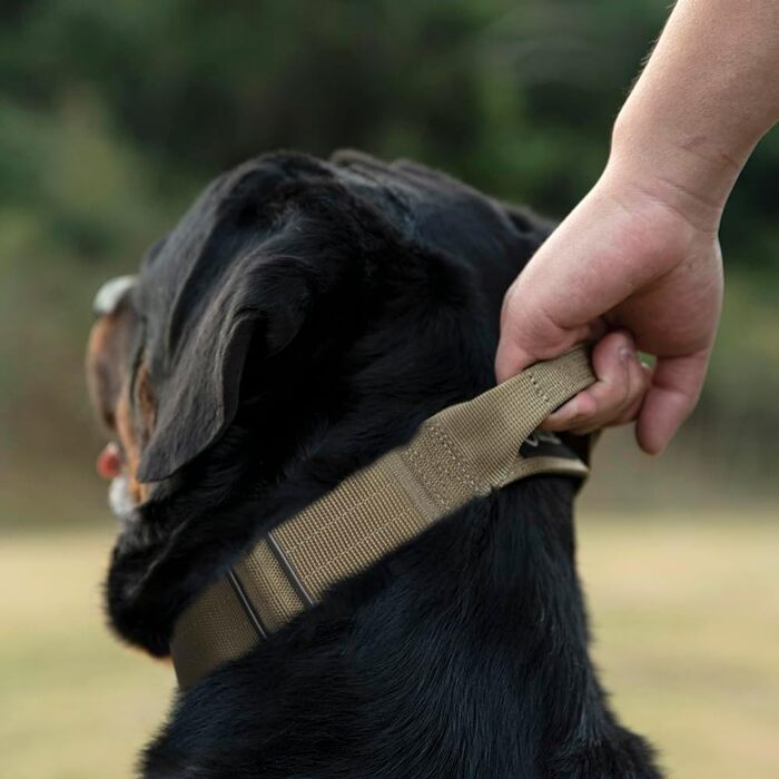 Преміум нашийник для собак TSPRO з ручкою, тактичний, міцний, з металевою застібкою, для собак середніх та великих порід (Помаранчевий L). Розмір ручки L (регульований 44.5-62.2 см). З ручкою розміру M (регульований 36.8-45.7 см), геометричний дизайн