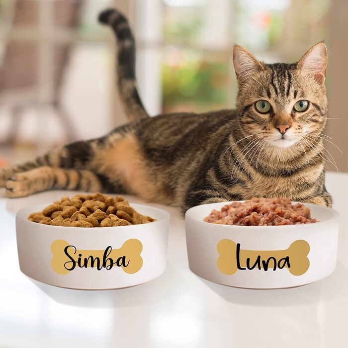 Керамічний двомісний набір мисок з іменем для собак та котів 'Кістка' - персоналізований набір мисок з/без підставки | Миска для собак, миска для котів, годівниця | 2x 500 мл