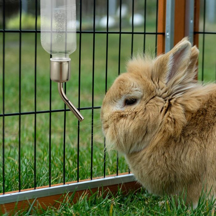 Набір для автоматичного годування та пою тварин Lotsdonxia (2 шт.), поїлка для кроликів, хом'яків, кошенят, шиншил та інших