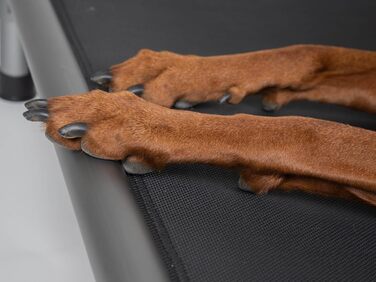 TrendPet HighBed: підняне ліжко для собак з алюмінію (105x80 см), преміум-якість