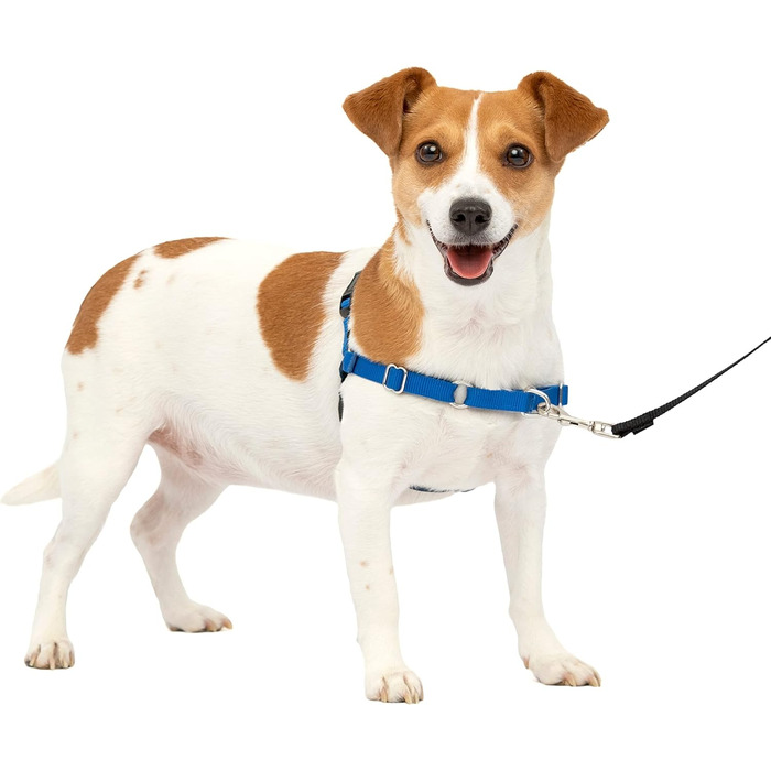 Шлея для собак PetSafe Easy Walk, анатомічна