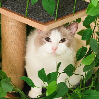 Кігтеточка для котів CareCooo 135 см з 12 стержнів, стабільна, з будиночком, сизаль, захист від перекидання, водонепроникна, для великих котів, коричнево-біла (зелений + МДФ, XL)