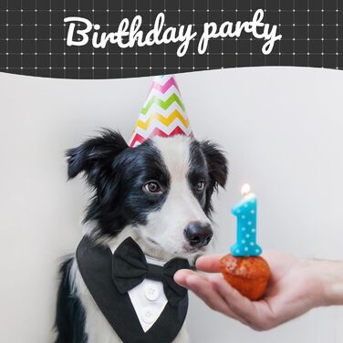 Нашийник для собак Kuoser, святковий аксесуар, бандана для великих собак, чорний колір, розмір L