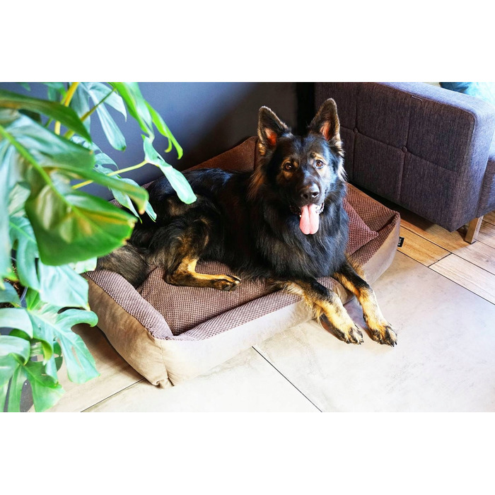 Затишне текстильне лежак для собак TEO, 100x80 см, розмір 4L