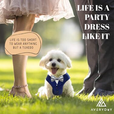 Смугастий собачий смокінг для весілля та ювілею, стильний костюм для собак з краваткою для маленьких та великих собак, формальний одяг для дня народження, пропозиції, фотосесій, косплей, особливі події (розмір шиї 32-42 см) Синій смокінг + срібна краватка