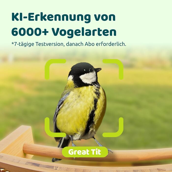 NETVUE Birdfy бамбуковий міні годівничка з камерою для спостереження за птахами, сонячна батарея, автоматичний запис, сповіщення в додатку