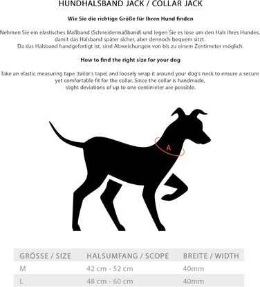 Преміум шкіряний нашийник для собак Джек Рассел з ручкою - міцний нашийник з натуральної шкіри буйвола Jack (L) (48.0-60.0см)