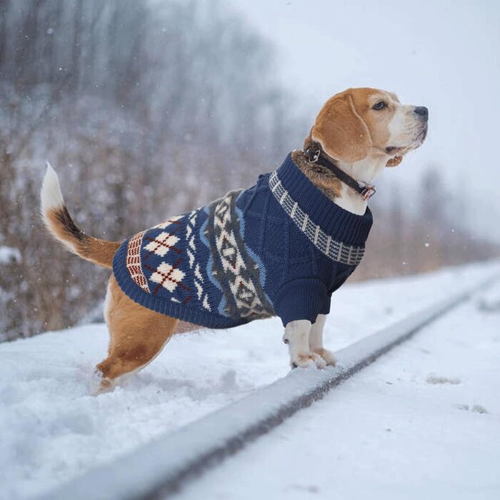 Теплий зимовий светр для собак маленьких порід з отвором для шлейки, блакитний (S)