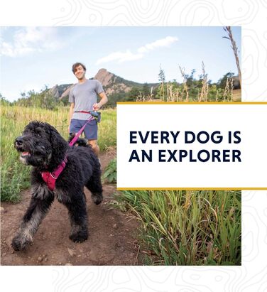 Ruffwear Crag нашийник для собак, світловідбивний, зручний, щоденний, бірюзовий, 28-36 см