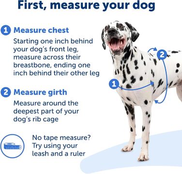 Шлея для собак PetSafe Deluxe Easy Walk, преміум