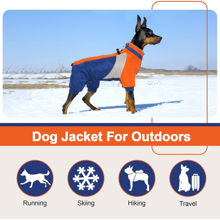 Водонепроникний теплий дощовик для собак Kuoser, для маленьких собак, зимовий, з шлейкою, модний, світловідбиваючий, блакитний, XS