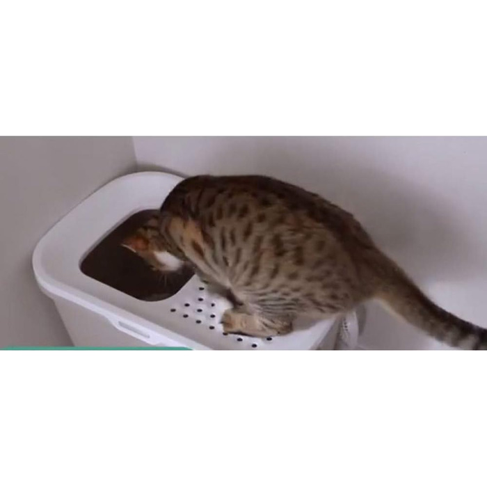 SAVIC Katzentoilette Hop In з високим входом (бежево-білий)