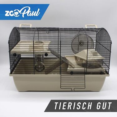 Клітка для гризунів Victor 2+ 51x33x33 см, бежева, з аксесуарами, для хом'яків, мишей, піщанок, іграшка