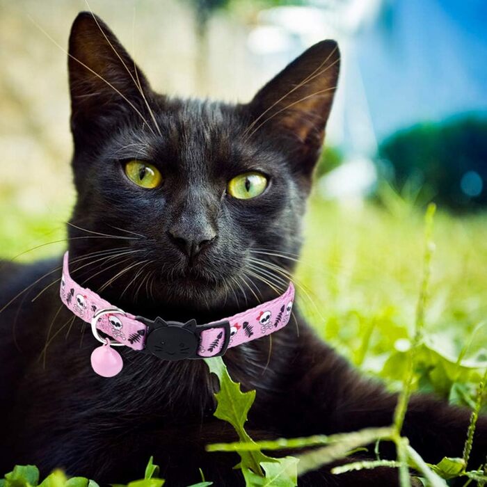 Нашийник для котів та маленьких собак BoomBone Totenkopf з дзвіночком, 2 шт., чорно-білий, нейлон, розмір 17.8-27.9 см