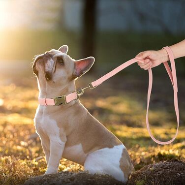 Нашийник для собак Didog з м'якої PU-шкіри, елегантний нашийник з швидкою застібкою для великих собак, легко чистити, регульований, для щоденних прогулянок, фіолетовий, розмір L (38,1-48,3 см), підходить для шиї 15-23 см (M: 13-21 см, рожевий)