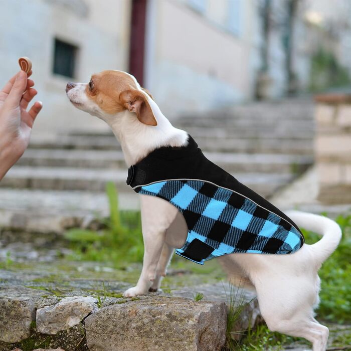 Теплий зимовий одяг для собак, куртка для собак з захистом живота, зимова куртка для собак зі світловідбиваючими елементами, двостороння куртка для собак, одяг для собак з отвором для шлейки, блакитна, розмір S
