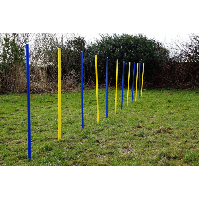 Набір для тренування Wuzzmann Agility - Slalom (синій/жовтий), гнучкі стійки