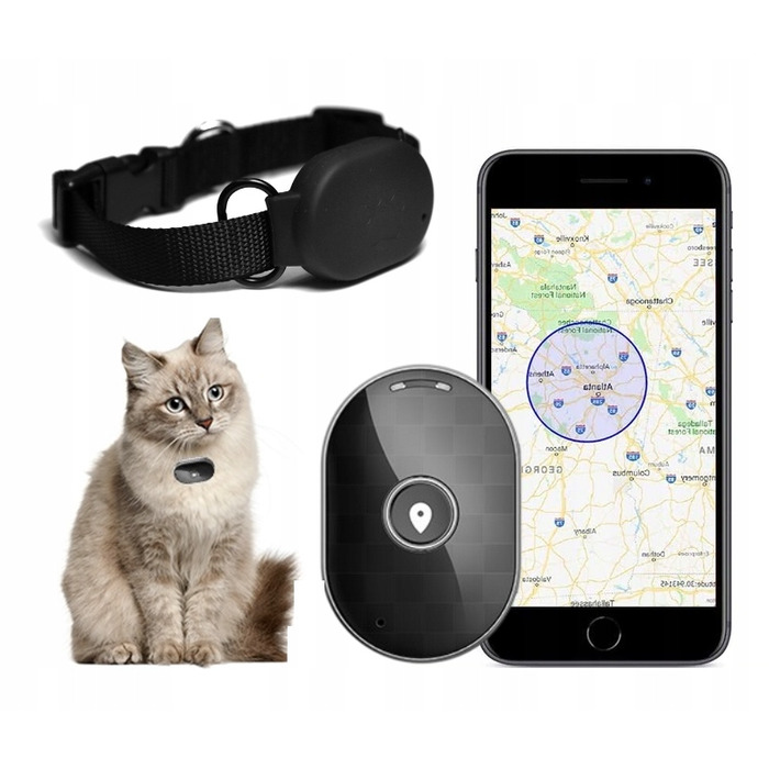 GPS-нашийник-локатор для собак та котів, керування через додаток, без абонплати та прихованих платежів
