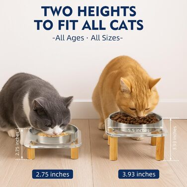 Підвищені миски для котів DoogCat – 2 шт. з акрилу, нержавіюча сталь, 14 см, для дому, зручне годування, для котів з чутливими вусами (сріблясті)