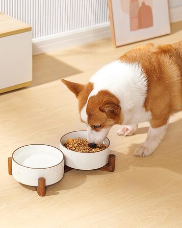 Набір мисок для собак Getstar з кераміки на підставці з акації, 887 мл, 2 шт, з кольоровим обідком