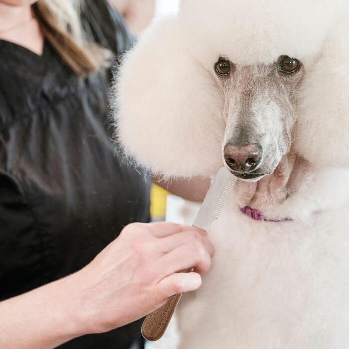 Гребінець для собак Toyvian (2 шт.) - професійний інструмент для догляду за шерстю, м'яка масажна щітка для довгої та короткої шерсті