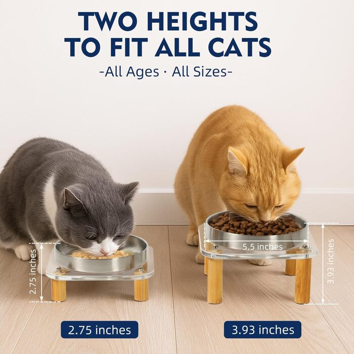 Підвищені миски для котів DoogCat – 2 шт. з акрилу, нержавіюча сталь, 14 см, для дому, зручне годування, для котів з чутливими вусами (сріблясті)