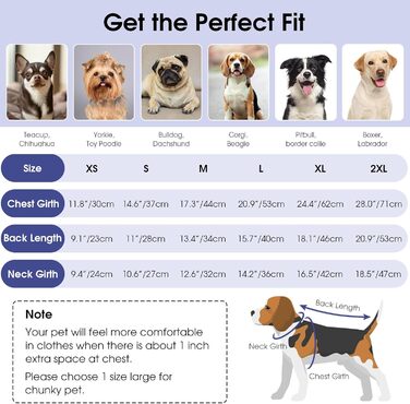 Светр для собак Queenore: теплий, для такс, бульдогів, біглів, шнауцерів (зелений, блакитний, XL)