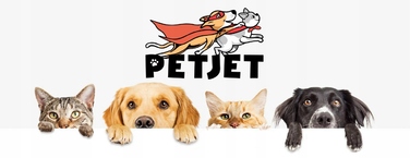 Високий кігтеточка-комплекс Petjet, сірий, сизаль, 5 рівнів