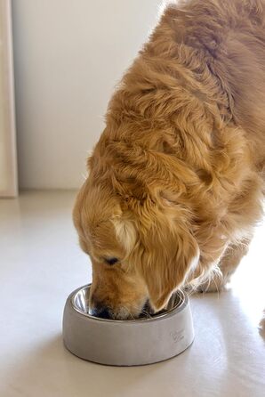 Миска для собак Lotte Riboco, кераміка, 16x16x5 см