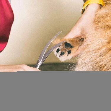 Набір професійних ножиць для собак з безпечним круглим наконечником, для грумінгу та стрижки шерсті. З набором для фінальної обробки. Підходить для собак та котів. Нержавіюча сталь, рожевий колір