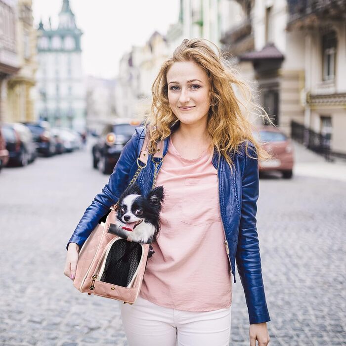 Сумка-переноска для собак та котів NewEle Fashion, чорна, до 4.5 кг, з великими кишенями, для подорожей, підходить для авіаперельотів