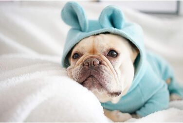Піжама для собак з м'якої бавовни, комбінезон, худі з вушками кролика для Французького бульдога/Англійського бульдога/Американського пітбультер'єра XL, блакитний