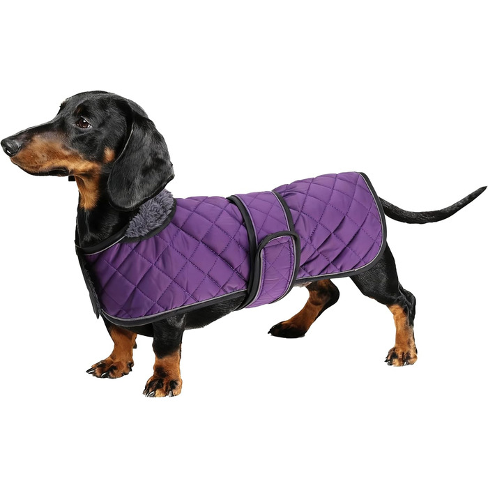 Зимовий теплий одяг для такс (дрібних та середніх) - куртка з плюшем, регульованим поясом та отвором для повірця, Geyecete, колір: зелений, розмір: L, фіолетовий