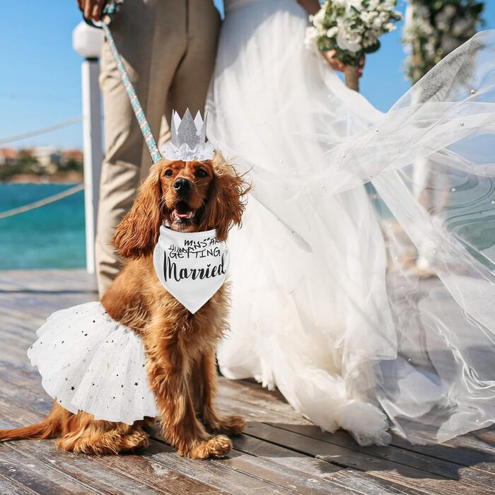 Сукня для собак SCENEREAL на весілля з банданою, комірцем-бантиком та короною, комплект для собак, дівчаток, цуценят, кошенят, аксесуари для вечірки, спідниця-тьюль, костюм для маленьких, середніх та великих собак, білий (Весільний)