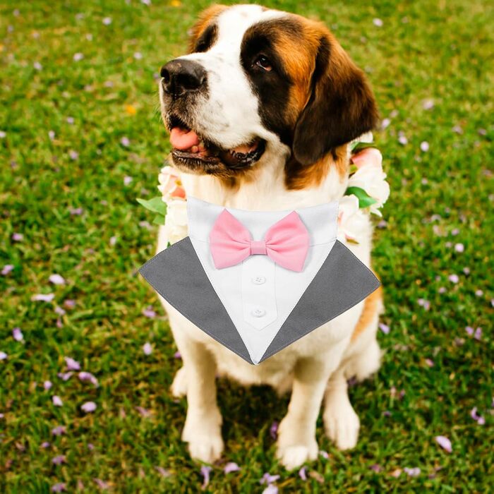 Елегантний собачий смокінг JOYPAWS: нашийник для собак, костюм для вечірки, на день народження, для фотосесій, сірий, для маленьких, середніх та великих собак