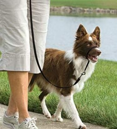 Шлейка для собак PetSafe Easy Walk, середній/великий розмір (чорна, L)