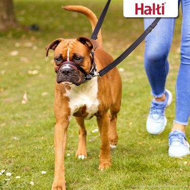 Намордник Halti Optifit і тренувальний повідок-комплект, стоп тяганню, великий розмір, чорний