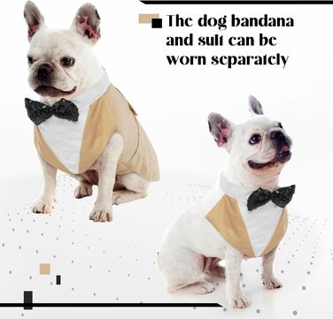 Костюм для собак 