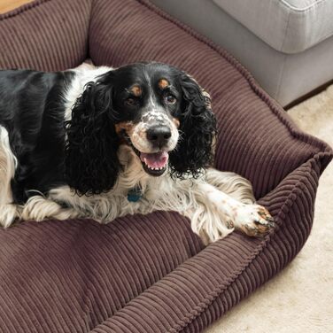 М'яке собаче ліжко 4L Textil Hugo Premium-LINE: ортопедичне, з memory foam, 60x40 см, для маленьких собак