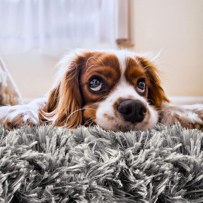 Кругле ліжко для собак та котів Donut, м'яке, пухнасте, темно-сіре, різні розміри та кольори